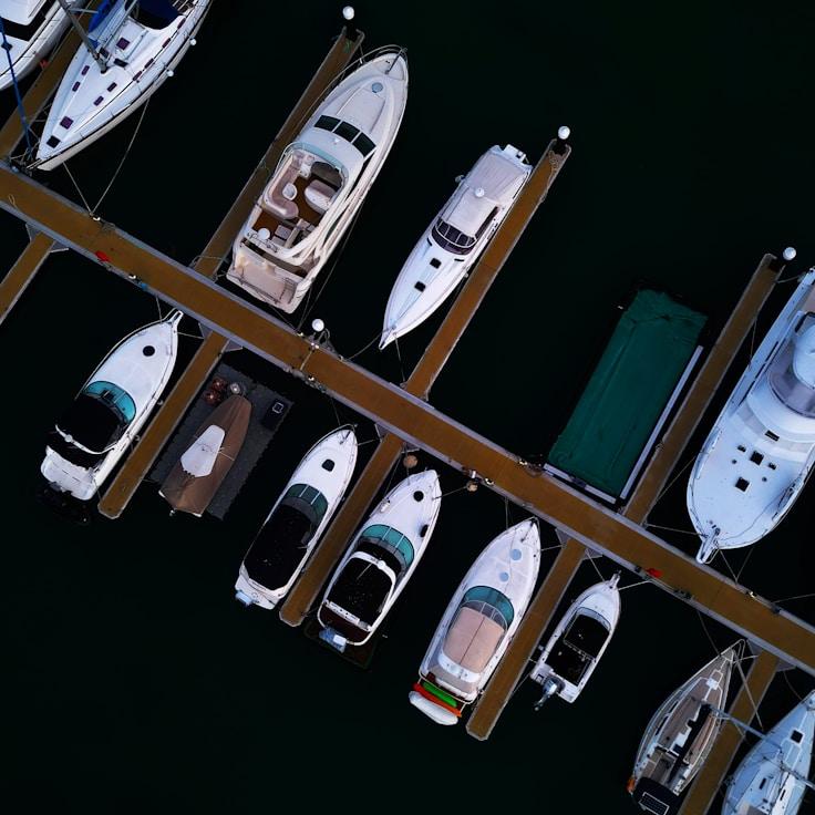 Ocean escapade